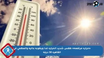 «حرارة مرتفعة» طقس شديد الحرارة غدا ورطوبة عالية والعظمى في القاهرة 38 درجة